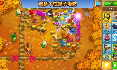 猴子塔防6(1)