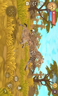 3D动物模拟器安装器(2)