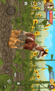 3D动物模拟器安装器(4)