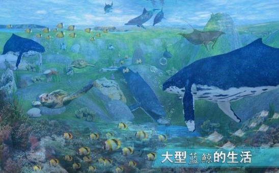 全民养鲸鱼红包版(3)