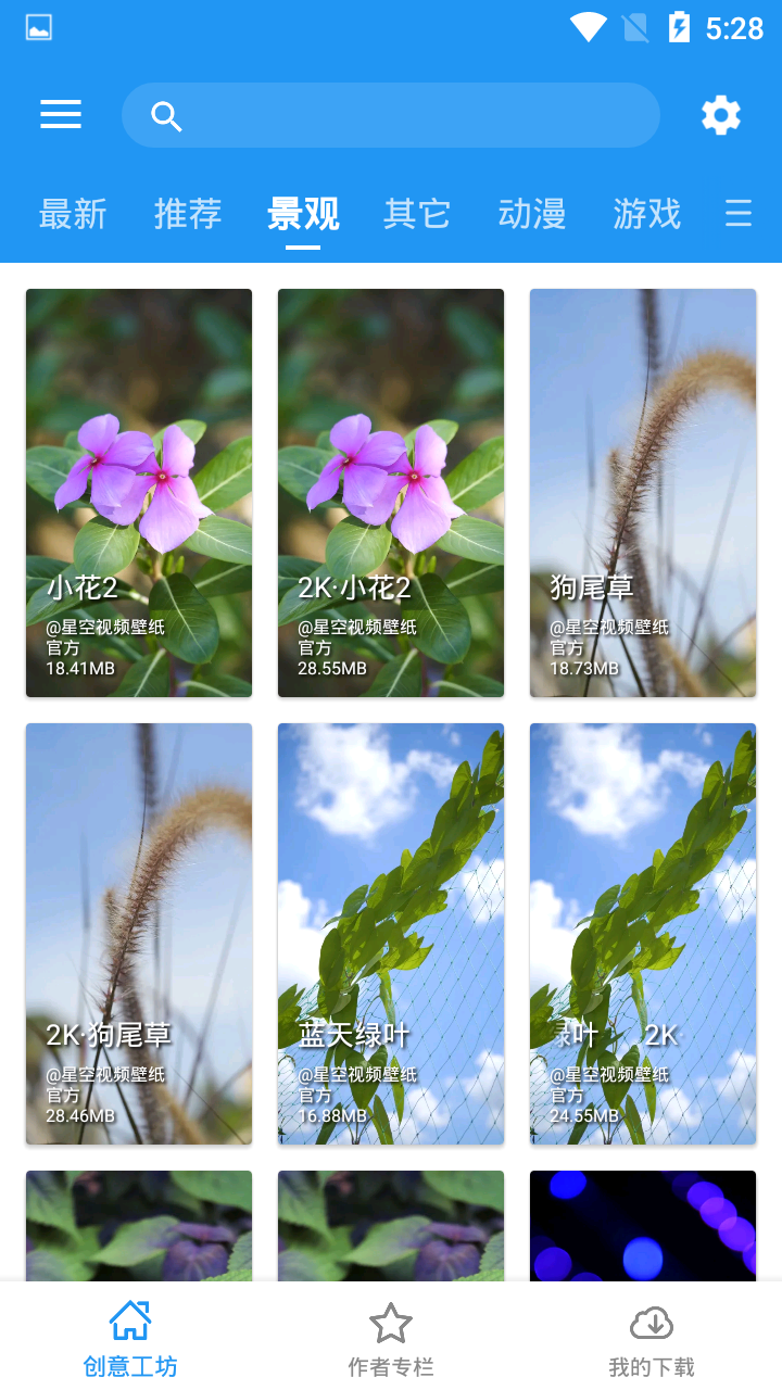 星空视频壁纸(3)