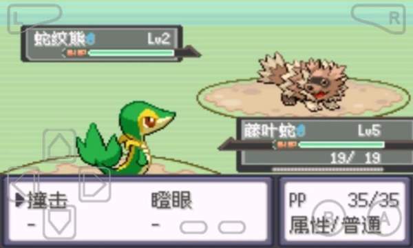 口袋妖怪漆黑的魅影手机版(4)