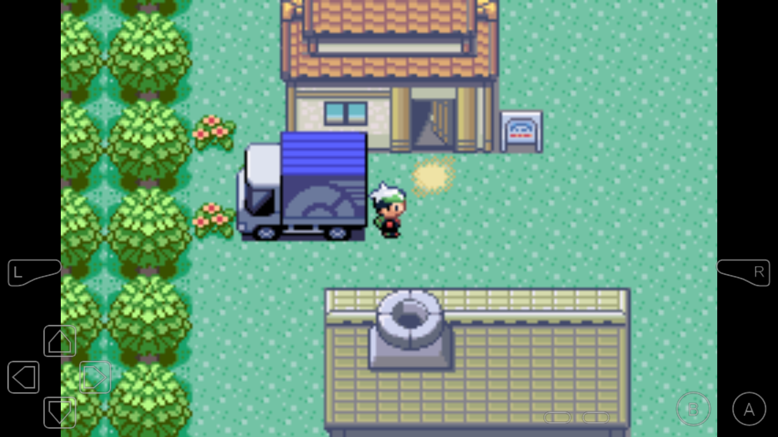 口袋妖怪绿宝石随机版(4)