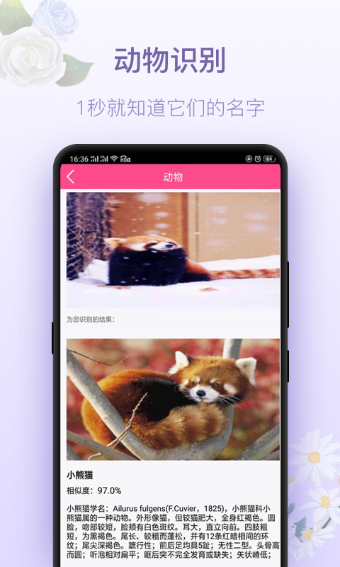 识花神器(2)