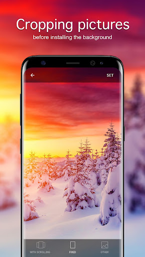 Winter wallpapers(3)