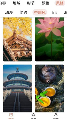 遥望主题壁纸(1)