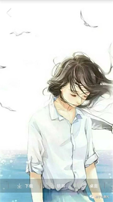 番茄主题壁纸(2)