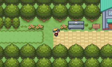 口袋妖怪数码宝贝世界(3)