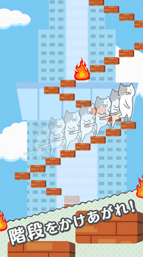 猫的台阶(3)