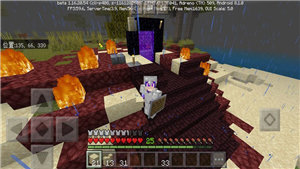 我的世界1.16版本(2)