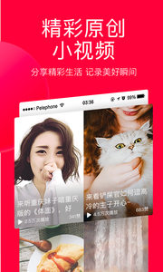 今日头条极速版赚钱版(3)