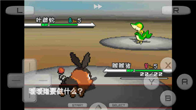 口袋妖怪白中文版(4)