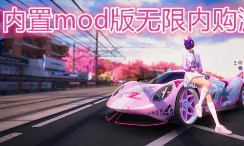 内置mod无限内购游戏
