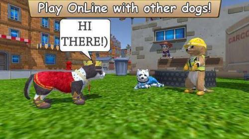 ZOOM动物最新版(1)