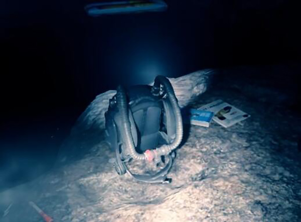 森林之子手机版(2)