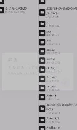 小言魔改obb2.9文件(1)