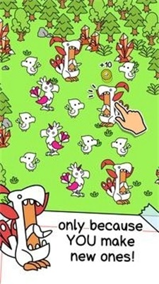 凤凰进化Phoenix Evo(2)