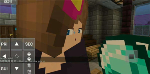 我的世界珍妮冒险