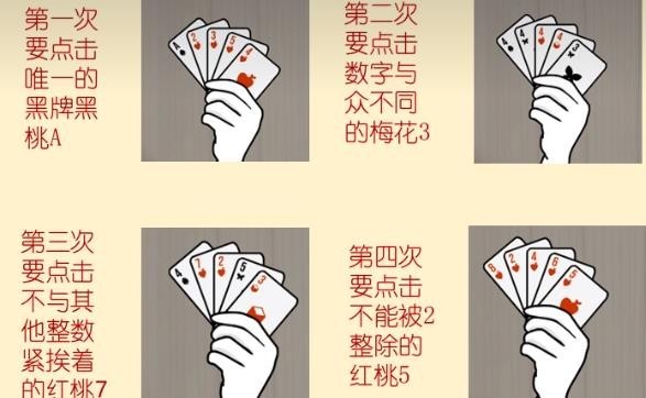 兔子先生的魔术秀