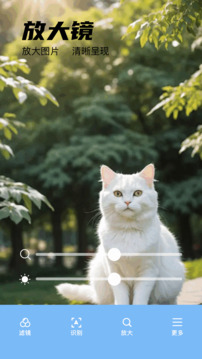 DeepSeek官方版(2)