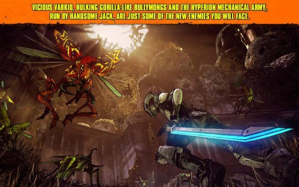 Borderlands 2(3)