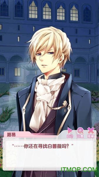 宫殿:月下灰姑娘(1)