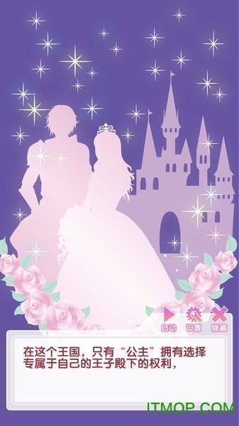 宫殿:月下灰姑娘(3)