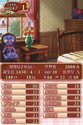 美少女梦工厂4 DS特别版(3)