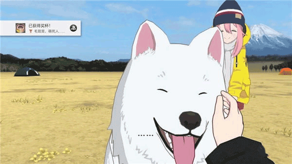 摇曳露营最新版(3)