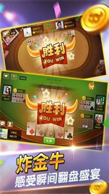 二人斗牛安卓版(3)