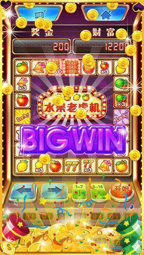 经典老虎机无限币免费版ios(1)
