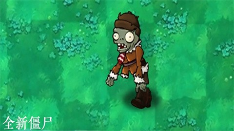 植物大战僵尸群系版(1)