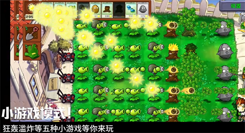 植物大战僵尸群系版