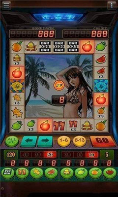 水果老虎机单机游戏手机版(2)