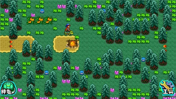 宠物王国4白金版(2)