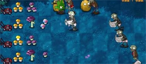 植物大战僵尸融合旅行版