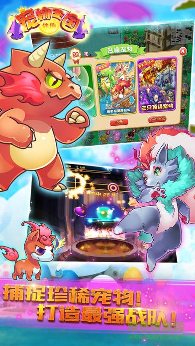 宠物王国外传(2)