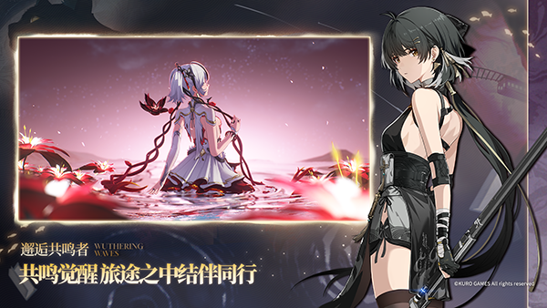 鸣潮全皮肤武器版(3)