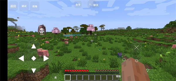 我的世界烦人的村民(2)