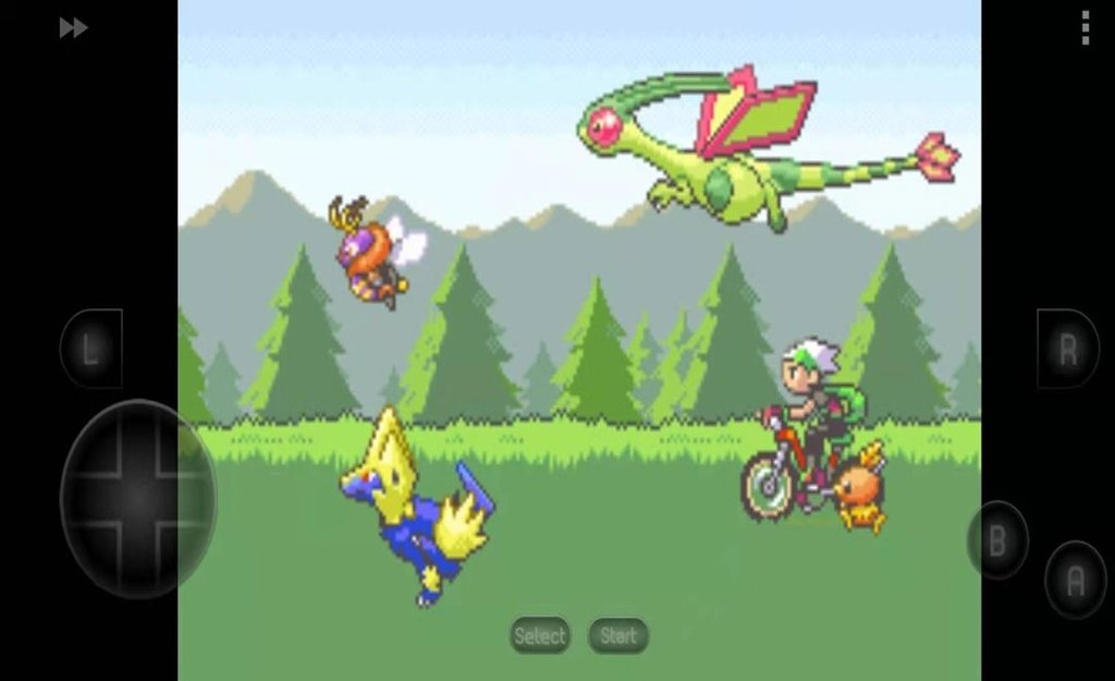 口袋妖怪漆黑的魅影5.0破解版(2)