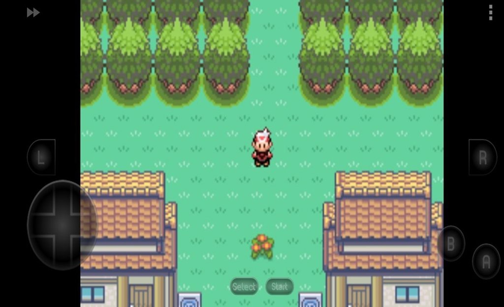 口袋妖怪漆黑的魅影5.0破解版(4)