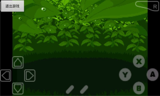 口袋妖怪漆黑的魅影DP5(2)