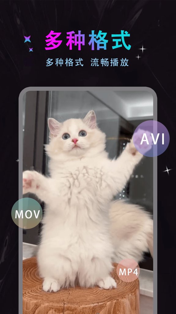 魅色视频播放器(3)