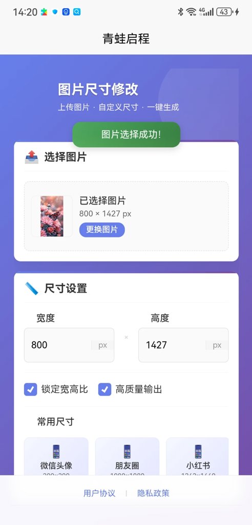青蛙启程 青蛙启程
