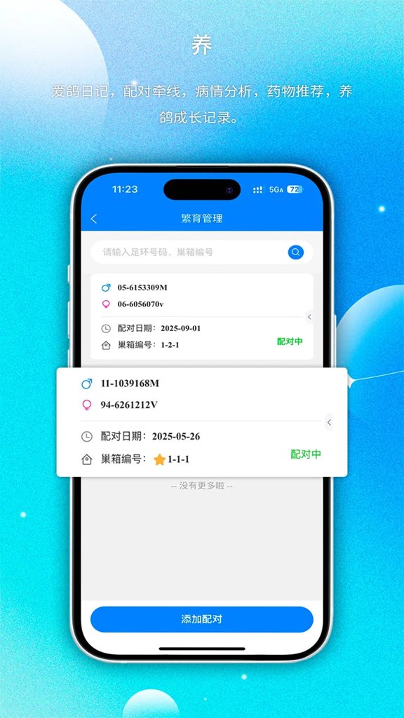 天下鸽谱 天下鸽谱