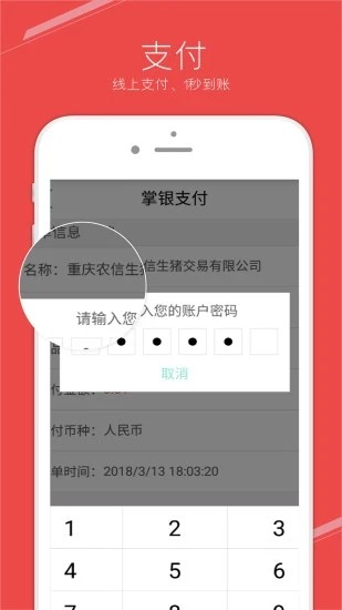 国家生猪市场(3)