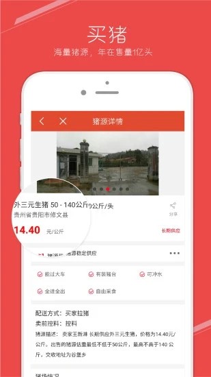 国家生猪市场(2)