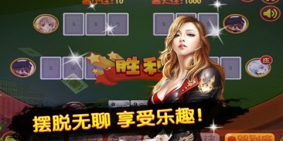 炸金花单机版不联网版游戏(3)