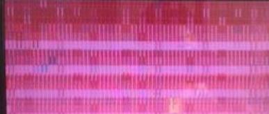 xp系统开机启动画面出现粉色并且花屏的解决方法