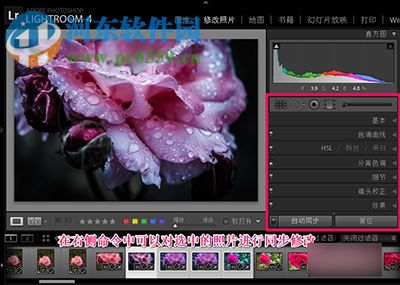 lightroom怎么批量处理照片?lightroom批量处理照片的方法
